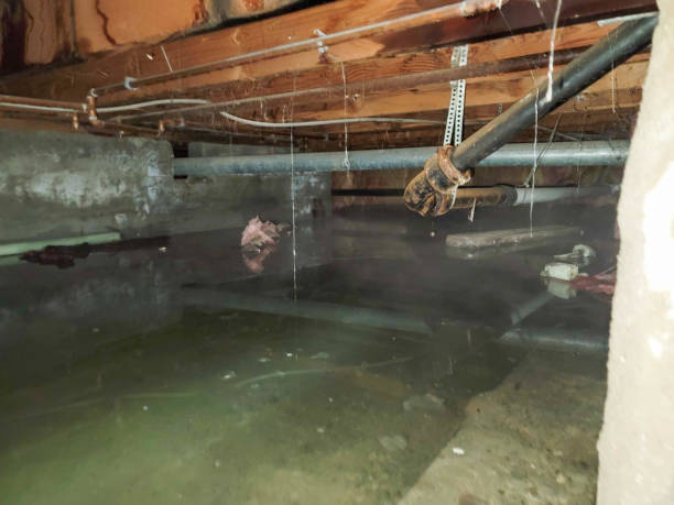 Best 24-hour water damage restoration  in Massapequa, NY