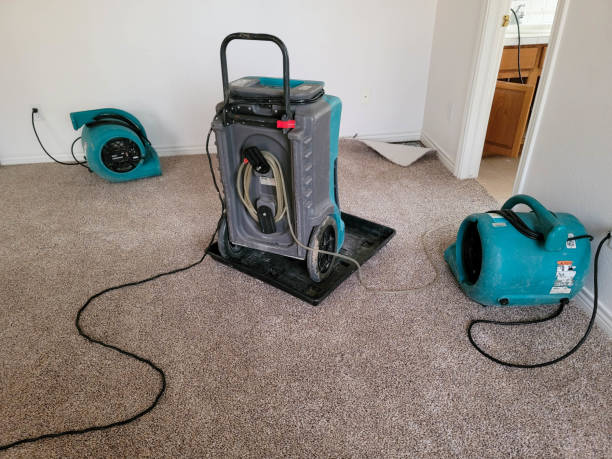 24/7 water damage repair in Massapequa, NY