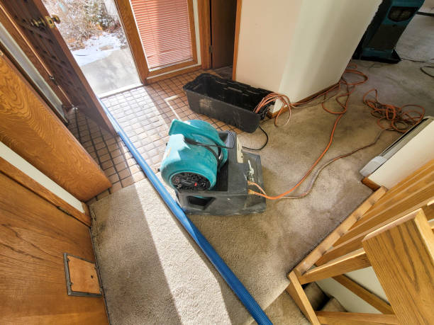 Best Commercial water damage restoration  in Massapequa, NY