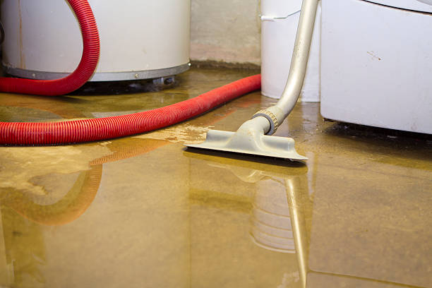 Best Flood restoration services  in Massapequa, NY